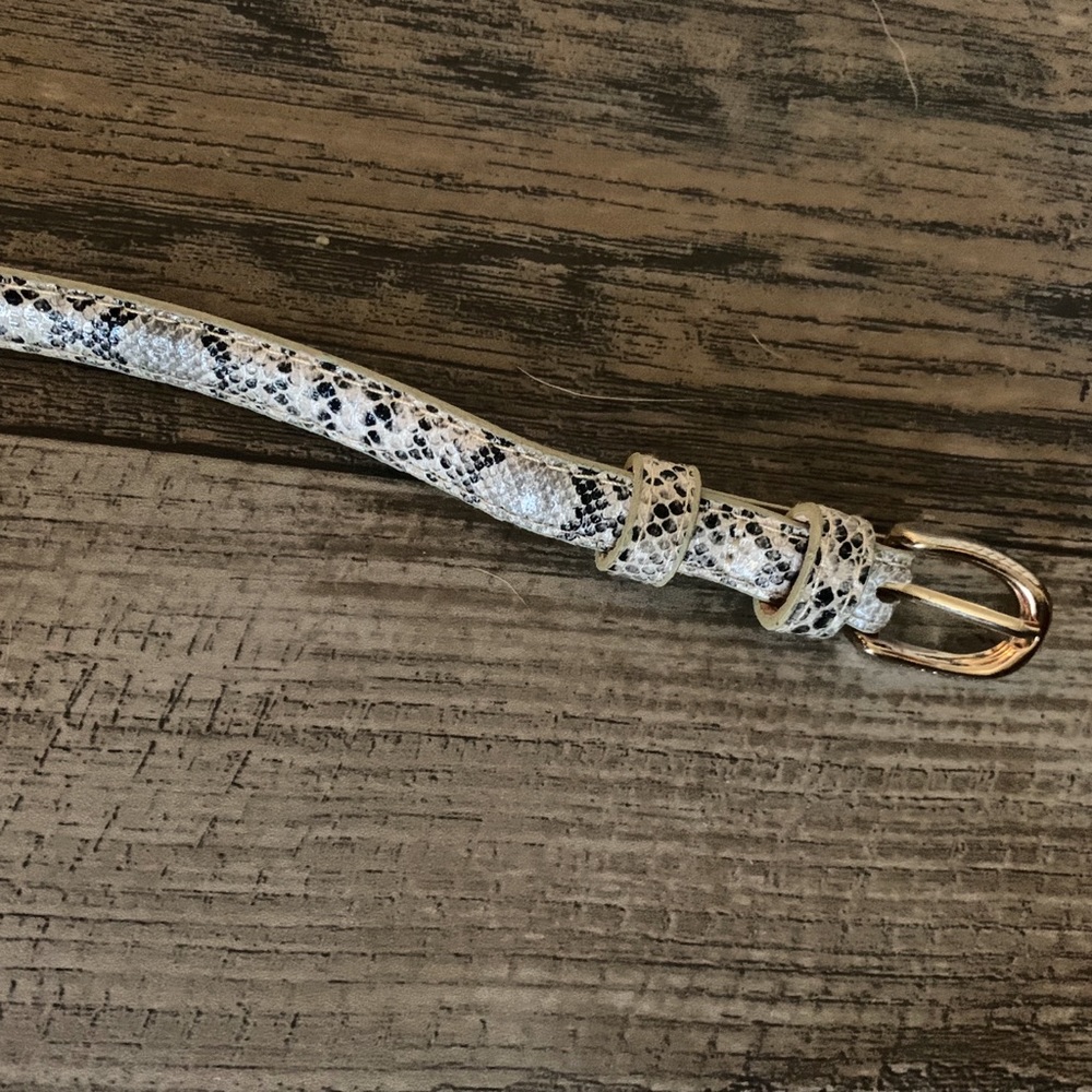 Snake Print Belt - Picture 2 of 2